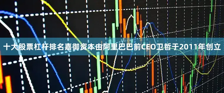 十大股票杠杆排名嘉御资本由阿里巴巴前CEO卫哲于2011年创立
