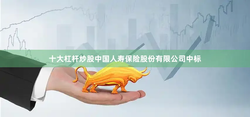 十大杠杆炒股中国人寿保险股份有限公司中标